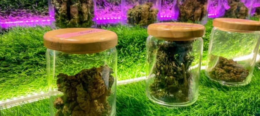 e cigi tok vásárlási kalauz 2025 legjobb modellek összehasonlítása anyagok és stílus tippek