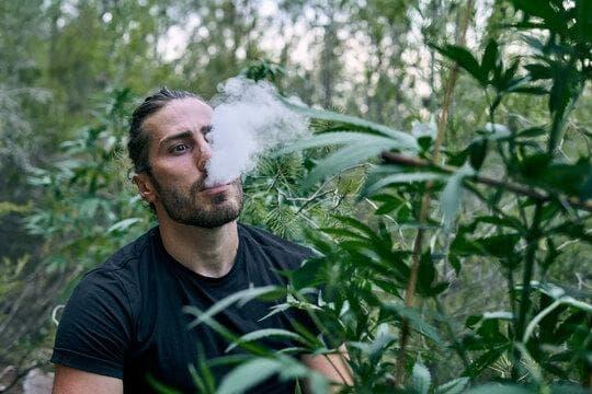 párkány elektromos cigaretta vásárlási útmutató és vélemények, praktikus tippek az árakhoz és karbantartáshoz